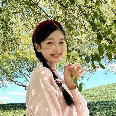 雾中来客 在线观看
